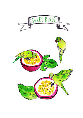 PSD 두마리 과일 일러스트 조류 붓터치 나뭇잎 수채화 사람없음 먹기 열대과일 앵무새 패션후르츠 국내일러스트 동물 잎 2 모션 파일형식