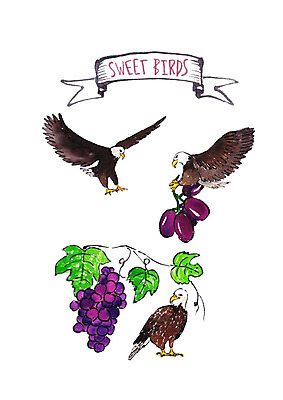 PSD 과일 일러스트 조류 포도 붓터치 수채화 세마리 사람없음 독수리 포도넝쿨 국내일러스트 동물 3 덩굴 파일형식