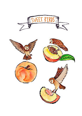 PSD 과일 일러스트 조류 붓터치 나뭇잎 수채화 세마리 사람없음 복숭아 부엉이 국내일러스트 동물 잎 3 파일형식