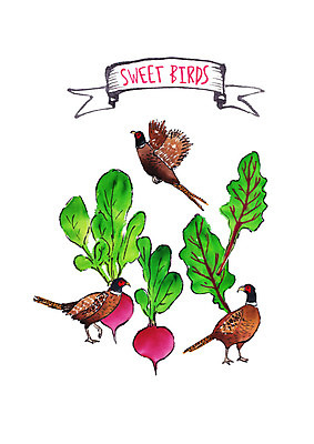 PSD 일러스트 조류 붓터치 수채화 세마리 사람없음 꿩 적환무 국내일러스트 동물 3 무 파일형식