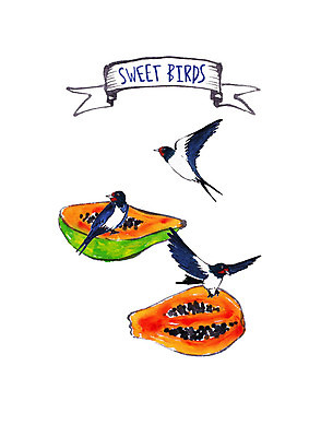 PSD 과일 일러스트 조류 붓터치 수채화 사람없음 먹기 열대과일 파랑새 파파야 국내일러스트 동물 모션 파일형식