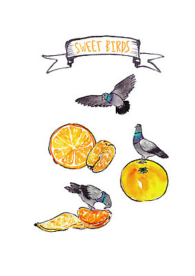 PSD 오렌지 과일 일러스트 조류 붓터치 수채화 세마리 앉기 사람없음 비행 먹기 비둘기 국내일러스트 동물 모션 3 파일형식