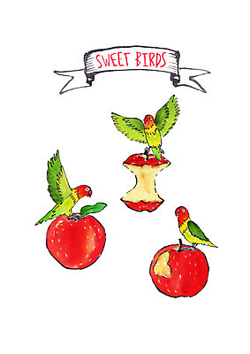 PSD 과일 일러스트 조류 붓터치 수채화 세마리 사람없음 사과 먹기 앵무새 국내일러스트 동물 모션 3 파일형식