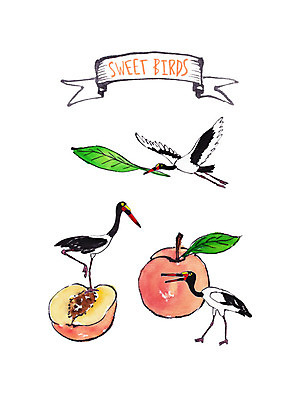 PSD 과일 일러스트 조류 붓터치 나뭇잎 수채화 사람없음 비행 물기 복숭아 큰부리새 국내일러스트 동물 잎 모션 파일형식