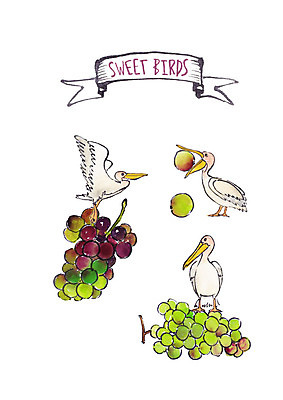 PSD 과일 일러스트 조류 포도 붓터치 수채화 세마리 사람없음 먹기 펠리컨 국내일러스트 동물 모션 3 파일형식