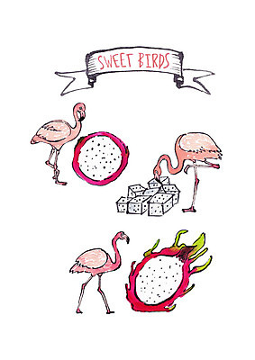 PSD 과일 일러스트 조류 붓터치 수채화 사람없음 플라밍고 열대과일 용과 국내일러스트 동물 파일형식