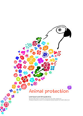 PSD 동물 한마리 꽃 일러스트 수채화 따뜻함 사람없음 컬러풀 귀여움 보호 앵무새 감성 동물보호 국내일러스트 식물 1 컬러 컨셉 조류 사회이슈 파일형식