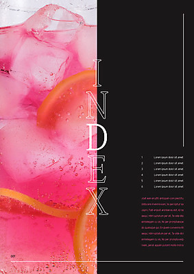 템플릿 내지 분홍색 사람없음 얼음 검은색 프레젠테이션 문서템플릿 서식 문서 제안서 순서 자몽에이드 목차 이미지템플릿 AI파일 자연요소 컬러 에이드 파일형식 벡터