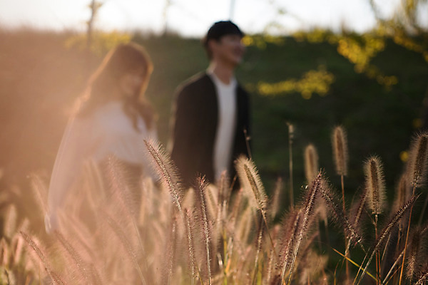 포토 JPG 주간 커플 공원 여자 남자 행복 데이트 사랑 사람 상반신 20대 성인 야외 두명 옆모습 아웃포커스 걷기 한국인 즐거움 갈대밭 설레임 수원 광교호수공원 국내포토 자연요소 공공시설 감정 뷰포인트 관계 모션 촬영기법 동양인 청년 경기도 호수공원 파일형식 광교 갈대_식물