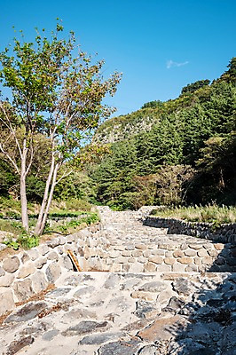 포토 자연요소 식물 공공시설 섬 댐 경상북도 생태계 울릉도 파일형식 사방댐 하늘 숲 나무 사람없음 JPG 주간 야외 풍경 자연 국내포토
