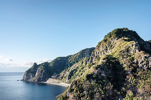 포토 JPG 주간 바다 자연 풍경 사람없음 야외 산등성이 울릉도 곰바위 국내포토 자연요소 섬 산 바위_돌 경상북도 생태계 파일형식