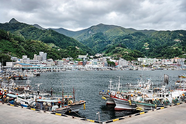 포토 JPG 주간 자연 산 주택 풍경 사람없음 야외 건물 마을 항구 어선 울릉도 저동항 선박 국내포토 자연요소 건축물 섬 수상교통 배_교통 교통시설 경상북도 생태계 파일형식