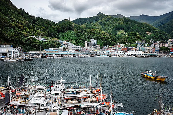 포토 JPG 주간 바다 자연 산 주택 풍경 사람없음 야외 건물 마을 항구 어선 울릉도 저동항 선박 국내포토 자연요소 건축물 섬 수상교통 배_교통 교통시설 경상북도 생태계 파일형식