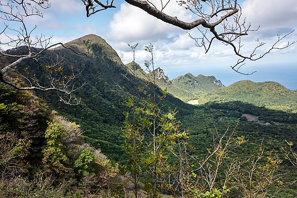 포토 JPG 주간 나무 구름 자연 산 풍경 사람없음 야외 나뭇가지 울릉도 나리분지 국내포토 자연요소 식물 섬 경상북도 생태계 파일형식