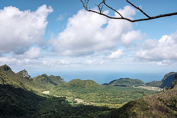 포토 JPG 주간 구름 자연 하늘 산 풍경 사람없음 야외 나뭇가지 울릉도 나리분지 국내포토 자연요소 나무 섬 경상북도 생태계 파일형식