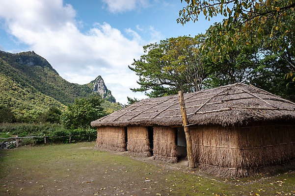 포토 JPG 주간 나무 구름 고건축 자연 하늘 산 풍경 사람없음 야외 울릉도 나리분지 투막집 국내포토 자연요소 식물 건축물 섬 주택 경상북도 생태계 파일형식