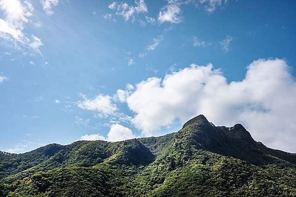 포토 JPG 주간 구름 자연 하늘 풍경 사람없음 야외 산등성이 울릉도 나리분지 국내포토 자연요소 섬 산 경상북도 생태계 파일형식