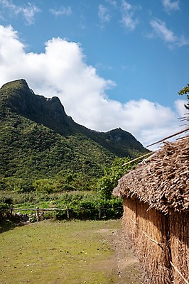 포토 JPG 주간 구름 고건축 자연 하늘 산 풍경 사람없음 야외 울릉도 나리분지 투막집 국내포토 자연요소 건축물 섬 주택 경상북도 생태계 파일형식