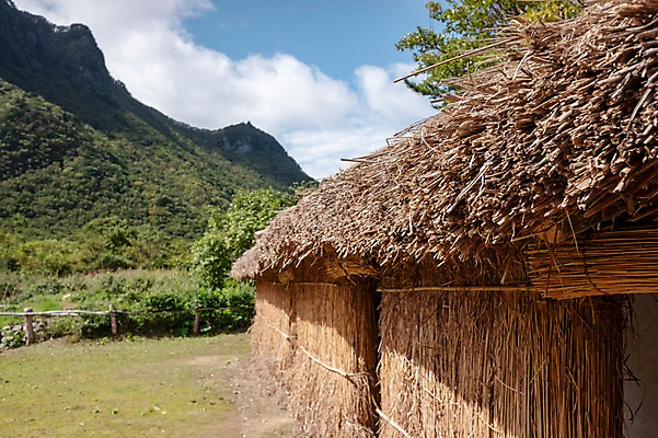포토 JPG 주간 고건축 자연 산 풍경 사람없음 야외 울릉도 나리분지 투막집 국내포토 자연요소 건축물 섬 주택 경상북도 생태계 파일형식