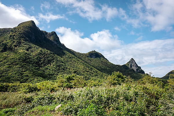 포토 JPG 주간 구름 자연 하늘 산 풍경 사람없음 야외 울릉도 나리분지 국내포토 자연요소 섬 경상북도 생태계 파일형식