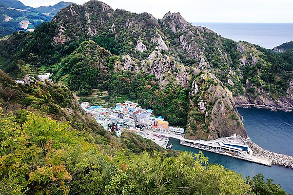 포토 JPG 주간 나무 바다 섬 자연 주택 풍경 사람없음 야외 건물 항구 산등성이 울릉도 도동항 국내포토 자연요소 식물 건축물 교통시설 산 경상북도 생태계 파일형식