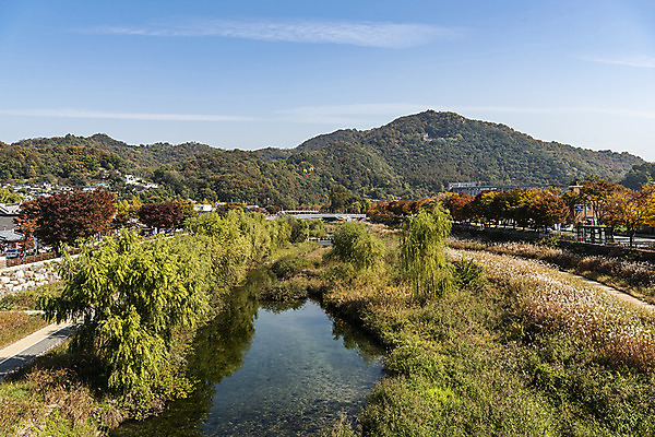 포토 JPG 주간 나무 구름 여행 단풍 낙엽 하늘 산 한국 풍경 사람없음 야외 강 가을풍경 가을 전라북도 가을여행 국내여행 전주 전주한옥마을 국내포토 자연요소 식물 계절 아시아 잎 전라도 한옥마을 파일형식 가을_계절