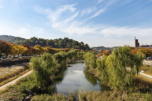 포토 JPG 주간 나무 구름 여행 단풍 낙엽 하늘 산 한국 풍경 사람없음 야외 강 가을풍경 가을 전라북도 가을여행 국내여행 전주 전주한옥마을 국내포토 자연요소 식물 계절 아시아 잎 전라도 한옥마을 파일형식 가을_계절