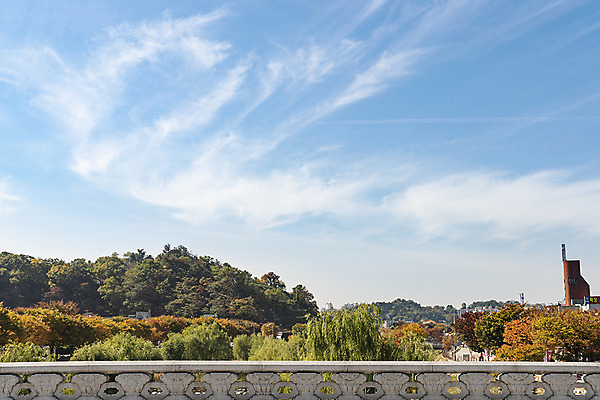 포토 JPG 주간 나무 구름 여행 단풍 낙엽 하늘 산 한국 풍경 사람없음 야외 가을풍경 가을 전라북도 가을여행 국내여행 전주 전주한옥마을 국내포토 자연요소 식물 계절 아시아 잎 전라도 한옥마을 파일형식 가을_계절