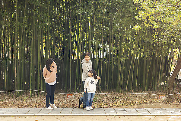 포토 JPG 주간 전신 전통 응시 여자 남자 행복 문화 여유 어린이 40대 여행 가족 가족여행 한국 사랑 미소 사람 동양인 성인 야외 옆모습 세명 30대 걷기 손잡기 한국인 가을 체험 역사 전라북도 대나무 설레임 가을여행 국내여행 전주 경기전 전주한옥마을 국내포토 자연요소 나무 시선 계절 감정 아시아 뷰포인트 중년 컨셉 관계 모션 표정 인종 장년 전라도 한옥마을 파일형식 가을_계절