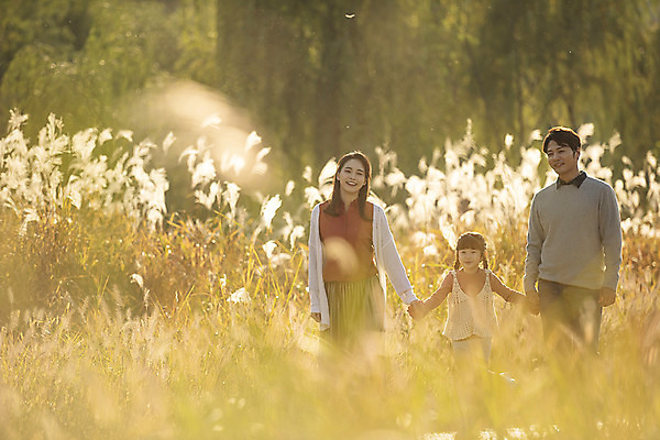 포토 JPG 주간 응시 여자 남자 행복 여유 어린이 40대 여행 가족 가족여행 한국 갈대 사랑 미소 사람 동양인 상반신 성인 야외 앞모습 세명 30대 걷기 노을 손잡기 일몰 산책 한국인 가을 전라북도 억새 설레임 가을여행 국내여행 전주 전주한옥마을 국내포토 자연요소 식물 시선 계절 감정 아시아 뷰포인트 중년 관계 모션 휴식 표정 인종 장년 전라도 한옥마을 파일형식 가을_계절