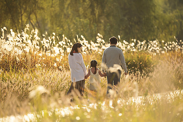 포토 JPG 주간 전신 여자 남자 행복 여유 어린이 40대 여행 가족 가족여행 한국 갈대 사랑 사람 동양인 성인 야외 뒷모습 세명 30대 걷기 노을 손잡기 일몰 산책 한국인 가을 전라북도 억새 설레임 가을여행 국내여행 전주 전주한옥마을 국내포토 자연요소 식물 계절 감정 아시아 뷰포인트 중년 관계 모션 휴식 인종 장년 전라도 한옥마을 파일형식 가을_계절