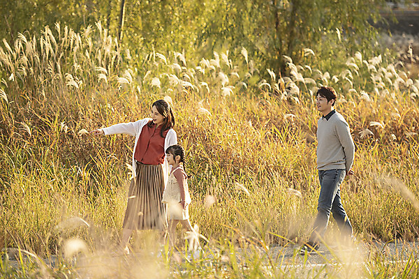 포토 JPG 주간 전신 응시 여자 남자 행복 여유 어린이 40대 여행 가족 가족여행 한국 갈대 사랑 미소 사람 동양인 성인 야외 옆모습 세명 30대 걷기 노을 일몰 산책 한국인 가을 가리킴 전라북도 뒷짐 억새 설레임 가을여행 국내여행 전주 전주한옥마을 국내포토 자연요소 식물 시선 계절 감정 아시아 뷰포인트 중년 관계 모션 휴식 표정 인종 손짓 장년 전라도 한옥마을 파일형식 가을_계절