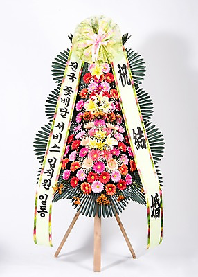 포토 JPG 스튜디오촬영 꽃 리본 결혼 실내 사람없음 컬러풀 기쁨 축하 오브젝트 흰배경 감사 축하화환 국내포토 식물 감정 컬러 백그라운드 컨셉 이벤트 내부 화환 흰색 파일형식