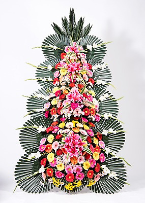 포토 JPG 스튜디오촬영 꽃 실내 사람없음 컬러풀 기쁨 축하 오브젝트 흰배경 감사 축하화환 국내포토 식물 감정 컬러 백그라운드 컨셉 내부 화환 흰색 파일형식