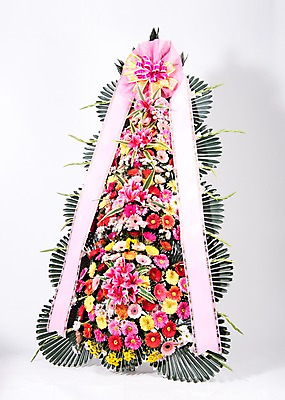 포토 JPG 스튜디오촬영 꽃 리본 프레임 실내 사람없음 컬러풀 기쁨 축하 오브젝트 흰배경 감사 축하화환 국내포토 식물 감정 컬러 백그라운드 컨셉 내부 화환 흰색 파일형식