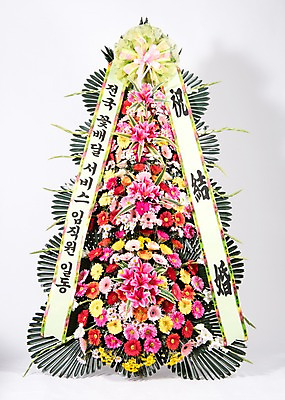 포토 JPG 스튜디오촬영 꽃 리본 결혼 실내 사람없음 컬러풀 기쁨 축하 오브젝트 흰배경 감사 축하화환 국내포토 식물 감정 컬러 백그라운드 컨셉 이벤트 내부 화환 흰색 파일형식