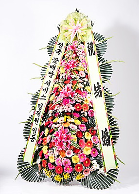 포토 JPG 스튜디오촬영 꽃 리본 실내 사람없음 컬러풀 기쁨 축하 오브젝트 흰배경 감사 축하화환 국내포토 식물 감정 컬러 백그라운드 컨셉 내부 화환 흰색 파일형식