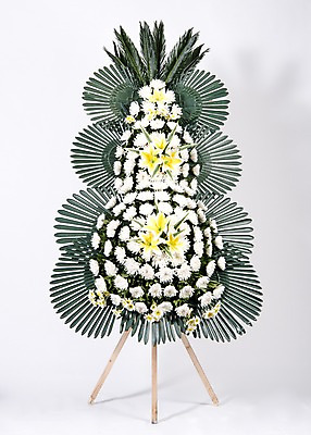 포토 JPG 스튜디오촬영 꽃 실내 사람없음 오브젝트 흰배경 위로 장례 근조 근조화환 국내포토 식물 백그라운드 내부 화환 흰색 파일형식