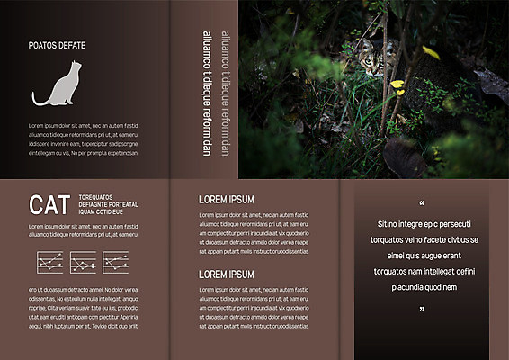 템플릿 한마리 표지디자인 북디자인 출판디자인 내지 리플렛 북커버 3단접지 그래프 팜플렛 사람없음 야외 갈색 고양이 엿보기 들풀 반려 숨기 이미지템플릿 AI파일 1 컬러 포유류 모션 반려동물 파일형식 벡터