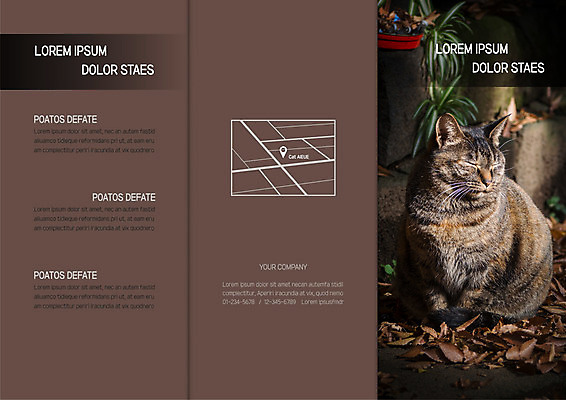 템플릿 한마리 표지디자인 북디자인 출판디자인 표지 화분 리플렛 낙엽 북커버 3단접지 팜플렛 사람없음 갈색 고양이 위치 약도 반려 이미지템플릿 AI파일 1 컬러 잎 지도 포유류 반려동물 파일형식 벡터