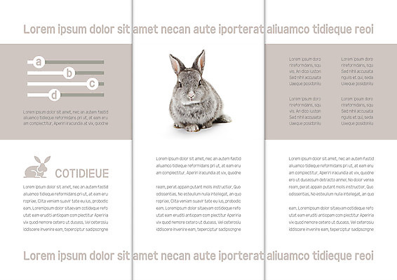 템플릿 한마리 표지디자인 북디자인 출판디자인 내지 리플렛 북커버 3단접지 그래프 팜플렛 사람없음 회색 토끼 반려 이미지템플릿 AI파일 1 컬러 포유류 반려동물 파일형식 벡터