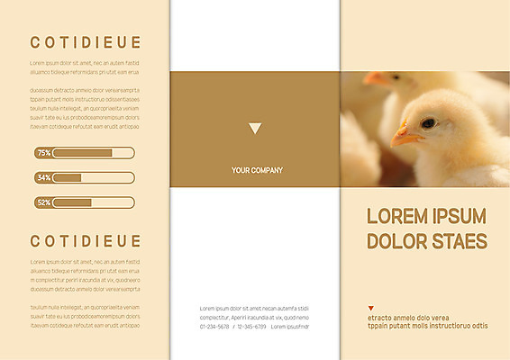 템플릿 표지디자인 북디자인 출판디자인 표지 리플렛 북커버 3단접지 그래프 병아리 팜플렛 사람없음 노란색 이미지템플릿 AI파일 컬러 조류 파일형식 벡터