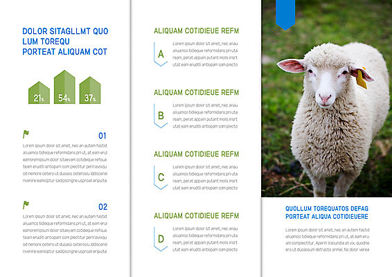 템플릿 한마리 표지디자인 북디자인 출판디자인 내지 리플렛 북커버 3단접지 그래프 팜플렛 잔디 초원 사람없음 초록색 양 이미지템플릿 AI파일 식물 1 컬러 포유류 파일형식 벡터