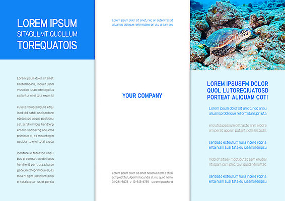 템플릿 한마리 표지디자인 북디자인 출판디자인 표지 리플렛 바다 북커버 3단접지 팜플렛 사람없음 파란색 바닷속 수영 바위 바다거북 이미지템플릿 AI파일 1 컬러 수중 돌_바위 수상스포츠 거북이 파일형식 벡터