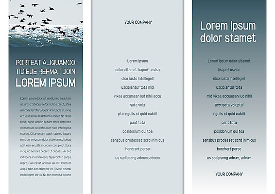 템플릿 표지디자인 북디자인 출판디자인 표지 리플렛 바다 북커버 여러마리 3단접지 갈매기 조류 팜플렛 사람없음 빛 반사 비행 그라데이션 이미지템플릿 AI파일 동물 다수 파일형식 벡터