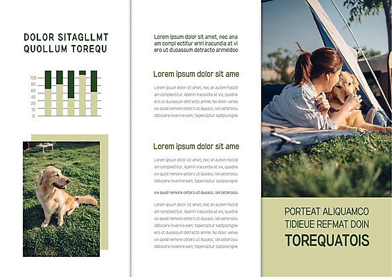 템플릿 표지디자인 북디자인 응시 출판디자인 여자 내지 반려견 여유 엎드리기 리플렛 두마리 북커버 3단접지 그래프 휴식 텐트 한명 사람 팜플렛 잔디 초원 상반신 20대 성인 반려동물 한국인 골든리트리버 반려 성인여자한명만 이미지템플릿 AI파일 식물 동물 1 시선 감정 컨셉 2 모션 캠핑도구 동양인 청년 개 리트리버 여자한명만 성인여자만 파일형식 벡터