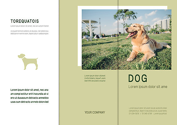 템플릿 한마리 표지디자인 북디자인 출판디자인 공원 표지 리플렛 북커버 3단접지 앉기 팜플렛 잔디 초원 사람없음 연두색 반려동물 골든리트리버 강아지 반려 이미지템플릿 AI파일 식물 동물 1 공공시설 모션 초록색 개 리트리버 파일형식 벡터