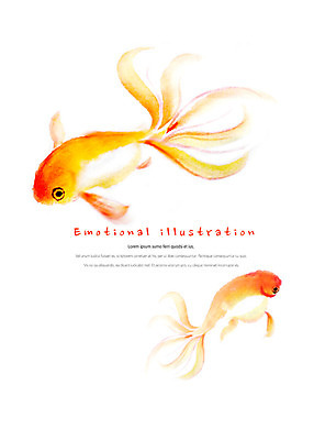 PSD 동물 두마리 일러스트 붓터치 수채화 따뜻함 어류 사람없음 귀여움 주황색 수영 금붕어 감성 국내일러스트 컬러 컨셉 2 수중동물 수상스포츠 파일형식