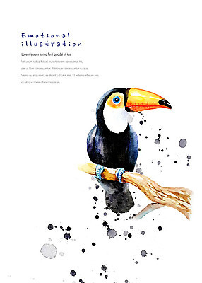 PSD 동물 한마리 일러스트 조류 붓터치 수채화 따뜻함 앉기 사람없음 귀여움 검은색 나뭇가지 번짐 감성 큰부리새 국내일러스트 나무 1 컬러 컨셉 모션 파일형식 효과