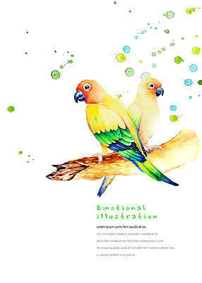 PSD 동물 두마리 일러스트 조류 붓터치 수채화 따뜻함 앉기 사람없음 컬러풀 귀여움 나뭇가지 앵무새 번짐 감성 국내일러스트 나무 컬러 컨셉 2 모션 파일형식 효과